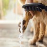 Hansgrohe DogShower ručná sprcha 150 3jet pre psov matná čierna, 26640670