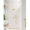 Hansgrohe Raindance Select S ručná sprcha 120 3jet vzhľad leštěného zlata, 26530990
