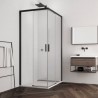 SANSWISS TOP-Line S sprchové dvere 100 2-dielne pravé, pre rohový vstup, čierna matná, číre sklo s AquaPerle TLSD1000607