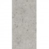 VILLEROY & BOCH Aberdeen dlažba 30 x 60 cm opal grey matt R10A 2576SB60